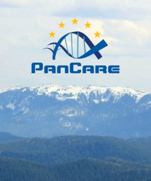 6 5 Pancare Nemzetkozi Iranyelvek Kiskep